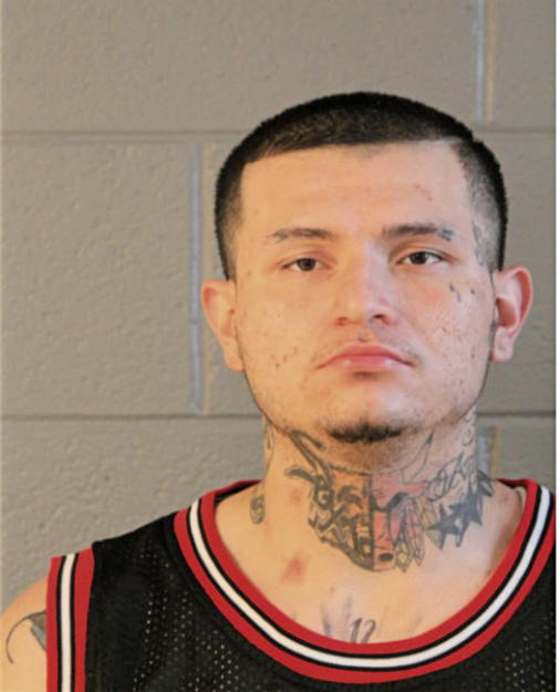 ANTHONY J FUENTES, Cook County, Illinois