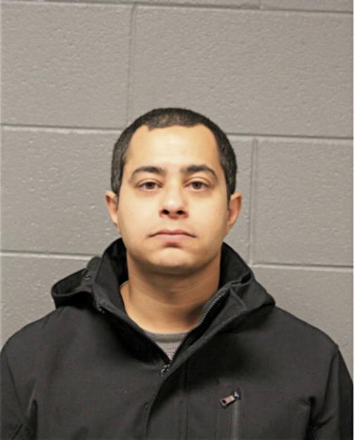 WESAM A GAD, Cook County, Illinois