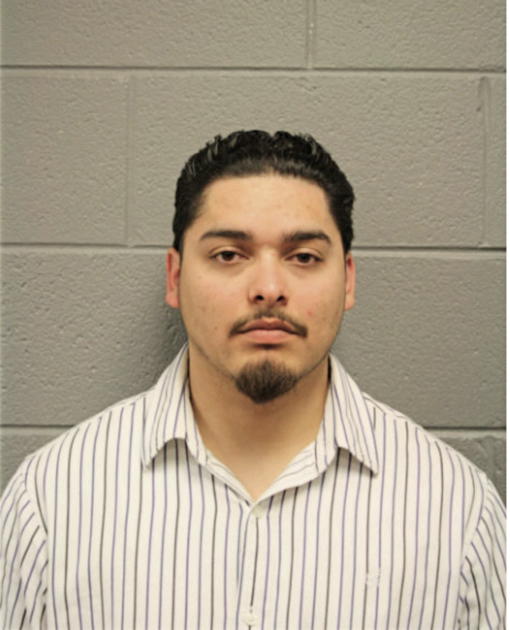 LUIS ENRIQUE GARCIA, Cook County, Illinois