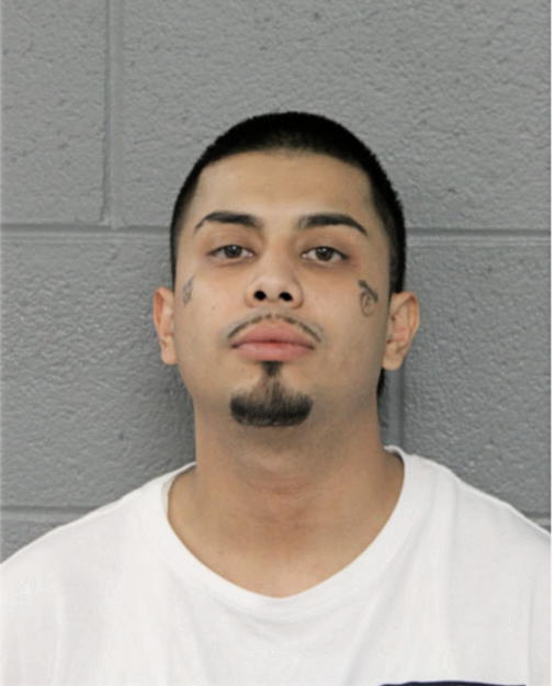 ANGEL M GONTARZ, Cook County, Illinois