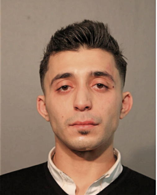 SAMI GREBA, Cook County, Illinois