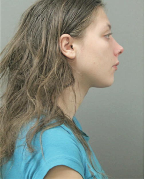 AMANDA MARIE HAAS, Cook County, Illinois