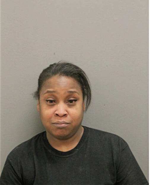 DANIELLE J HAYES, Cook County, Illinois