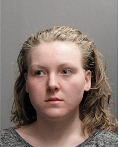 LAUREN N JARVIS, Cook County, Illinois
