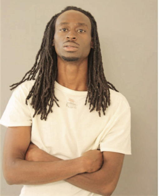 BRENT K JOHNSON, Cook County, Illinois