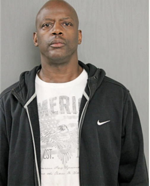 MICHAEL J JOHNSON, Cook County, Illinois