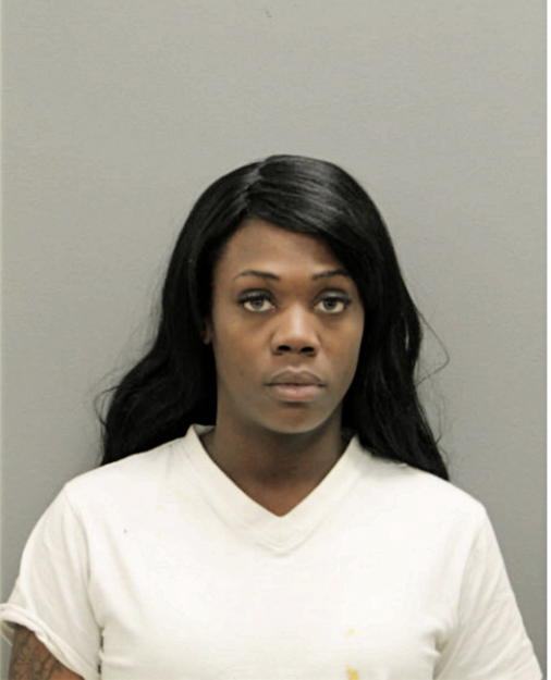 SHERITA N LENOIR, Cook County, Illinois