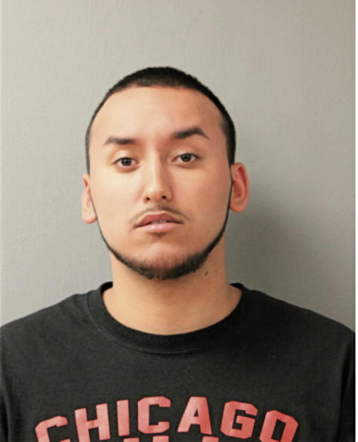 JOEL G LUGO, Cook County, Illinois