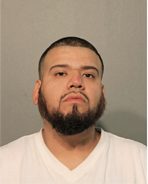 LUIS G MORALES, Cook County, Illinois