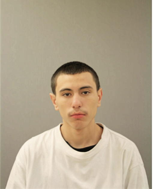 DIEGO PEREZ, Cook County, Illinois