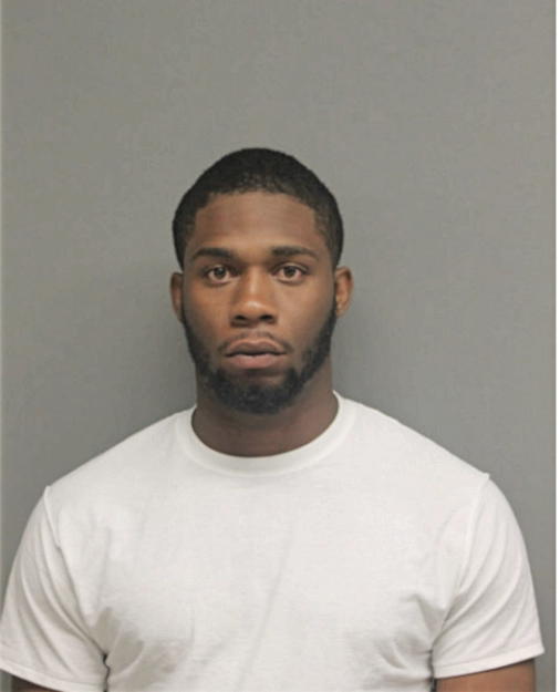 BRIAN K ROBINSON, Cook County, Illinois