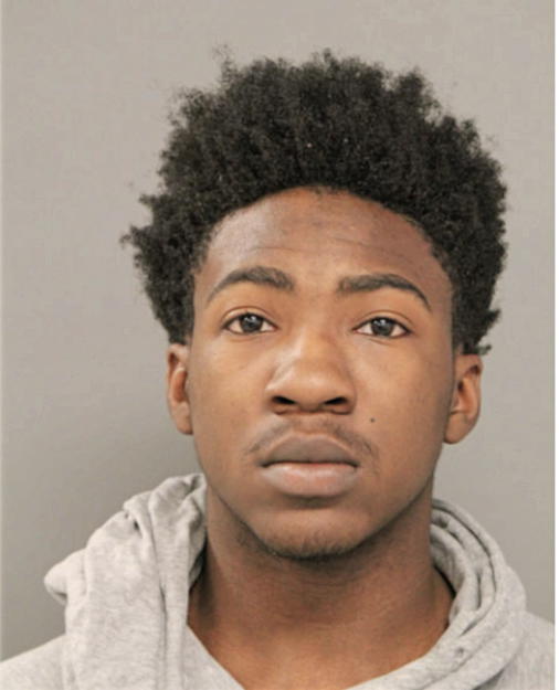 ANDREW STEVENS, Cook County, Illinois