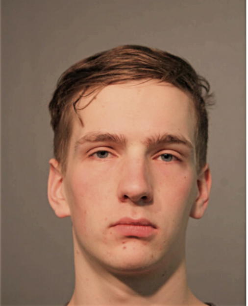 LEVI C TODD, Cook County, Illinois