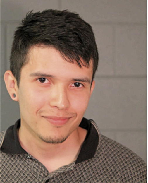 JULIAN A VILLALPANDO, Cook County, Illinois