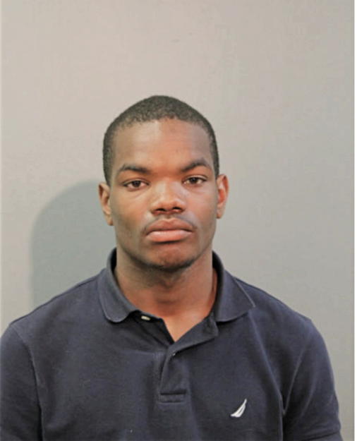 BRANDON T WESLEY, Cook County, Illinois