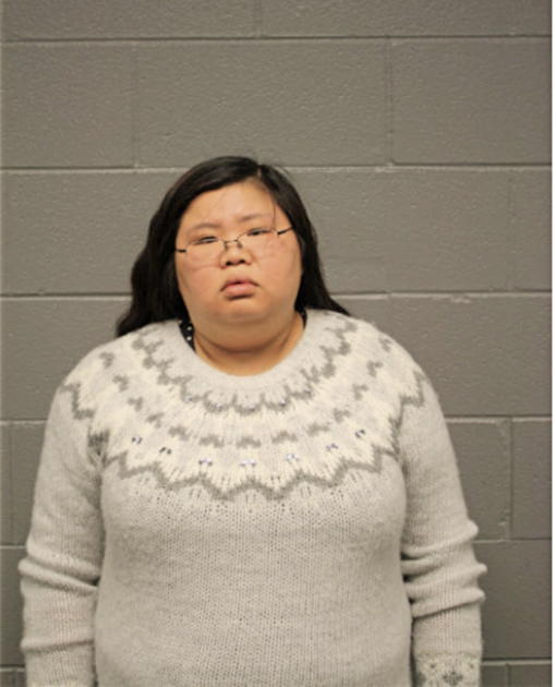 LINGWEN YE, Cook County, Illinois