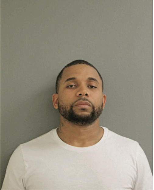 BRIAN K YOUNG, Cook County, Illinois