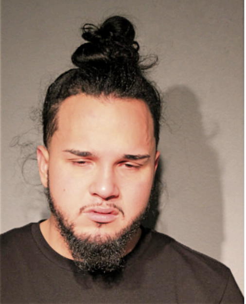 NICHOLAS A ALMANZA, Cook County, Illinois