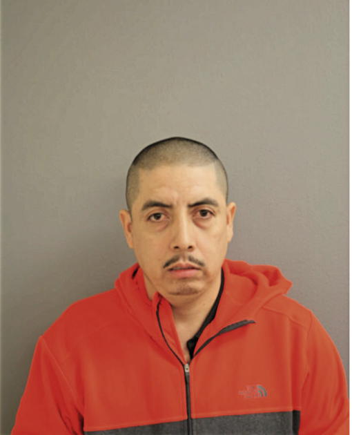 JAVIER V AVILA, Cook County, Illinois