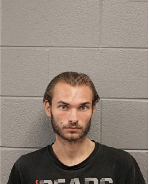 ELVEDIN BLAZEVIC, Cook County, Illinois