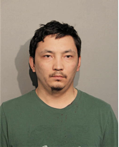 MURASBEK S ELCHIEV, Cook County, Illinois