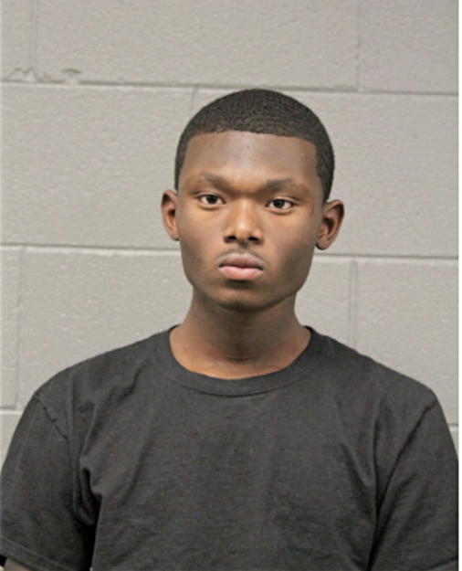 DEVIN L FORD, Cook County, Illinois