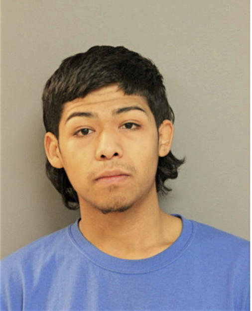 ANGEL S GOMEZ, Cook County, Illinois
