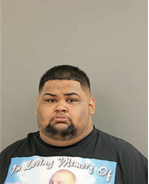 RICARDO GONZALEZ, Cook County, Illinois