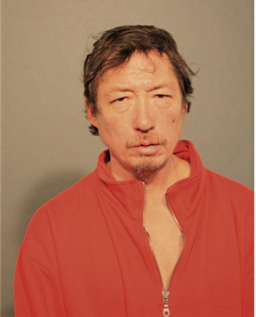 BOBBY C IDAKA, Cook County, Illinois