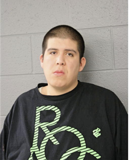 LUIS ERNESTO LOPEZ, Cook County, Illinois