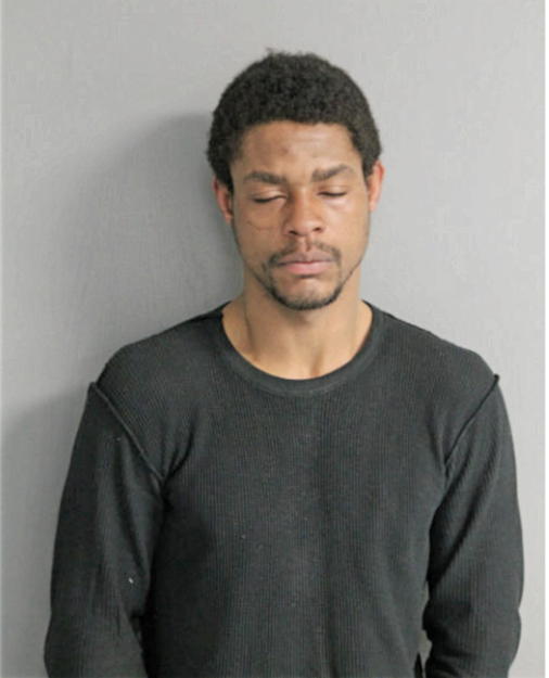 LEVIE M LUKE, Cook County, Illinois