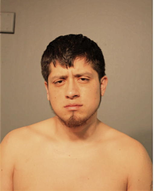 EDGAR J MARTINEZ, Cook County, Illinois