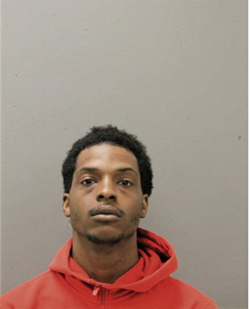 JAYNI K MCGINNIS, Cook County, Illinois