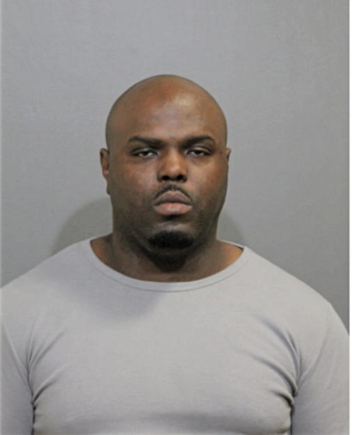 TIMOTHY T MOSES, Cook County, Illinois