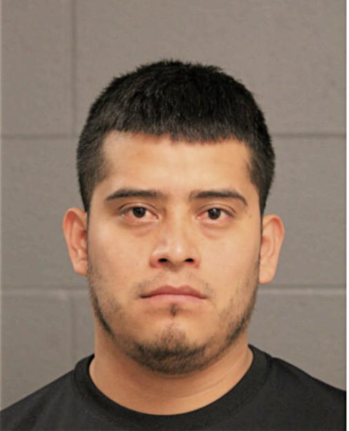 ELFREGO OCAMPO, Cook County, Illinois