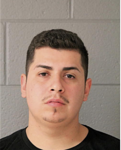 SERGIO V PANIAGUA, Cook County, Illinois