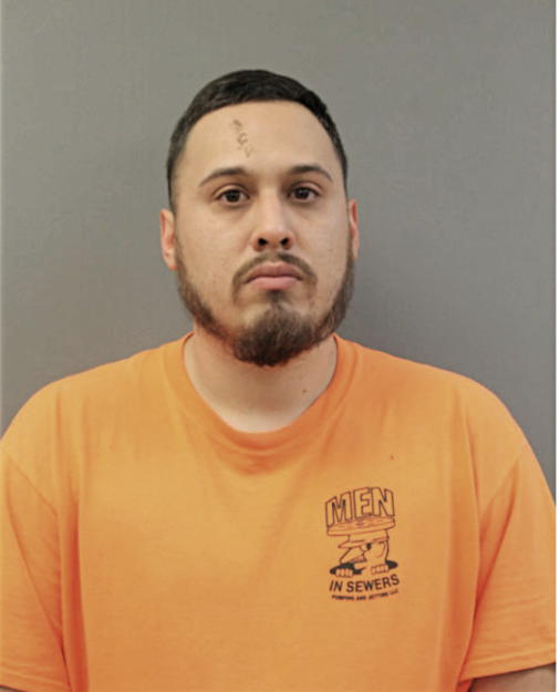 HULISES REYES, Cook County, Illinois