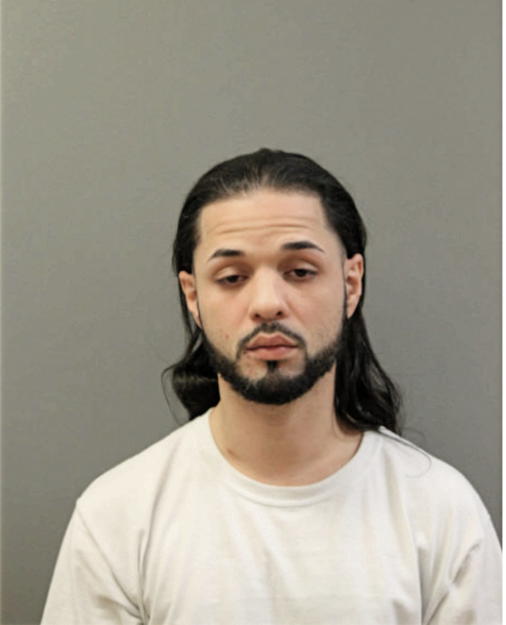 CHRISTIAN J SANTIAGO, Cook County, Illinois