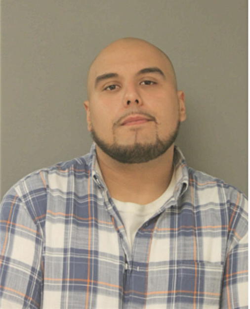 ACEY D STEPHENS, Cook County, Illinois