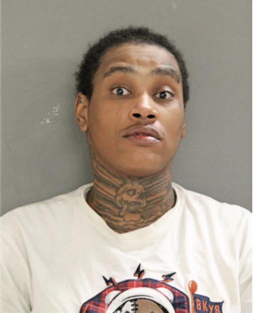 BRIANNA D STRONG, Cook County, Illinois