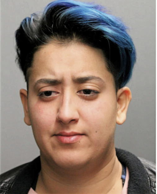 KRYSTAL VILLASENOR, Cook County, Illinois