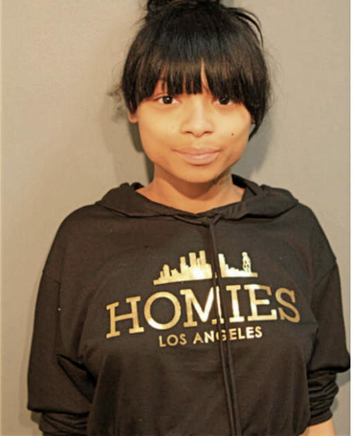 MARY S WILLIAMS, Cook County, Illinois
