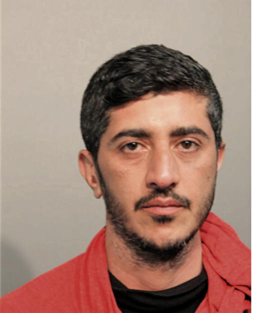 TEARY YOUNAN, Cook County, Illinois