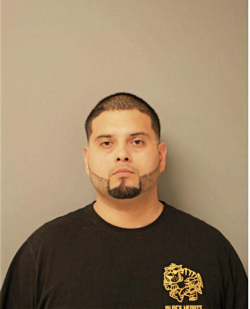 JUAN M ARCEO, Cook County, Illinois
