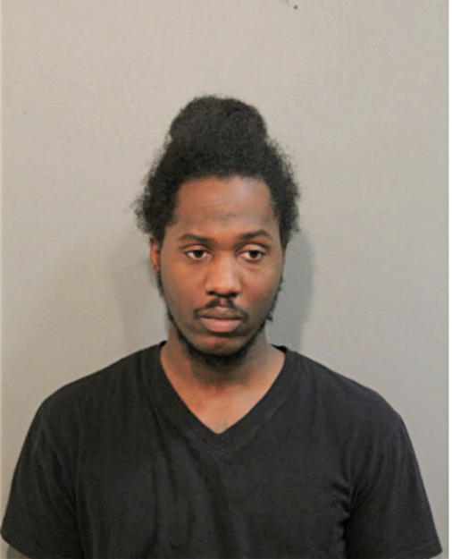 JEFFERY D BROWN, Cook County, Illinois