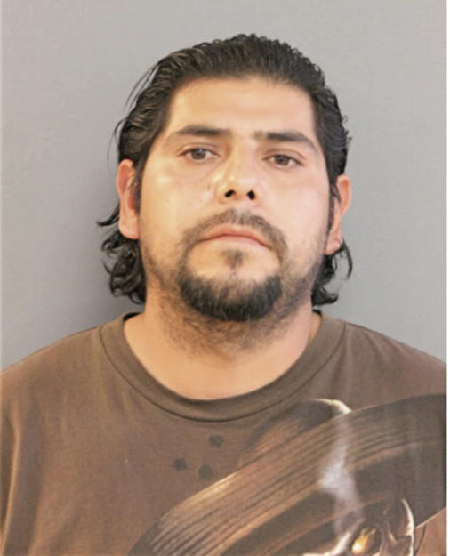 JOSE A CACELIN-GUZMAN, Cook County, Illinois