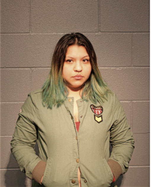 ALEJANDRA G ESTRADA, Cook County, Illinois