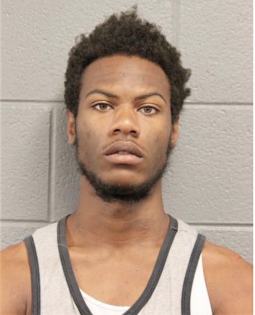 DAMON C GARMON, Cook County, Illinois