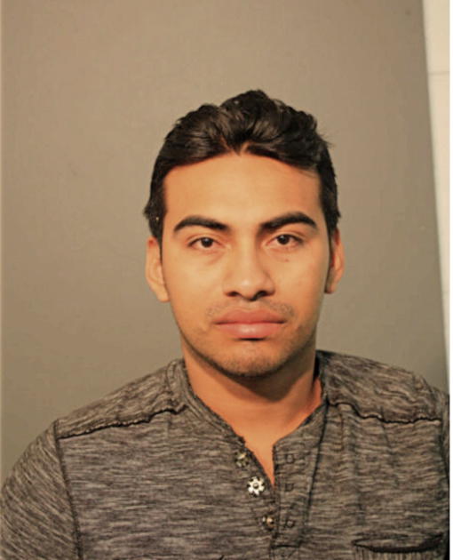 ANGEL Y GONZALEZ, Cook County, Illinois
