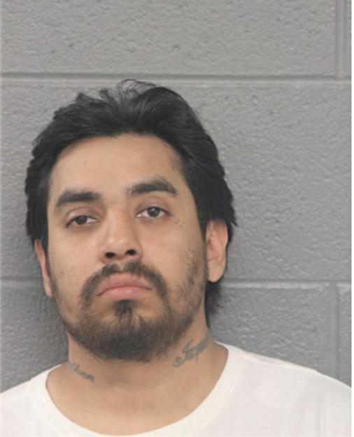 RODRIGO HERNANDEZ, Cook County, Illinois